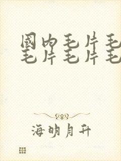 国内毛片毛片毛毛片毛片毛片毛片毛片