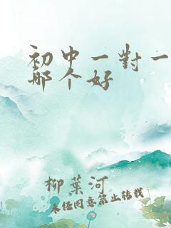 初中一对一辅导哪个好