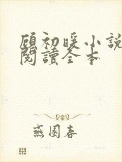 顾初暖小说免费阅读全本