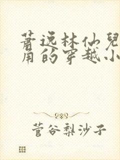 萧逸林仙儿为主角的穿越小说名字叫什么