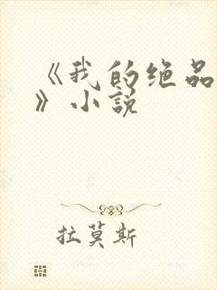 《我的绝品韵母》小说