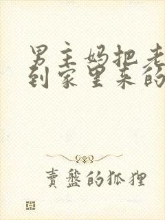 男主妈把老头接到家里来的小说