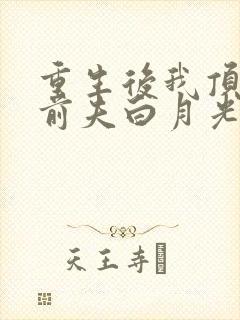 重生后我顶替了前夫白月光免费观看完整版