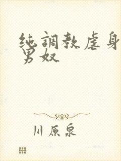 纯调教虐身惩罚男奴