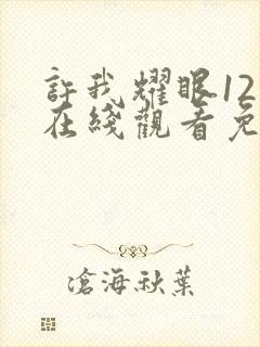 许我耀眼12集在线观看免费高清