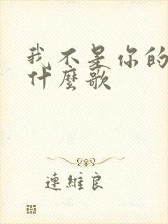 我不是你的谁是什么歌