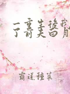 一重生后我顶替了前夫白月光