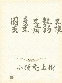 国产又粗又猛又爽又黄的视频