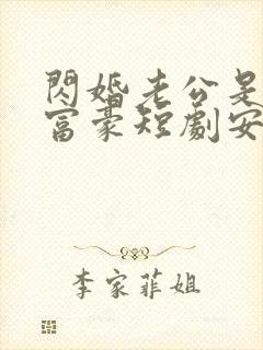 闪婚老公是超级富豪短剧安南