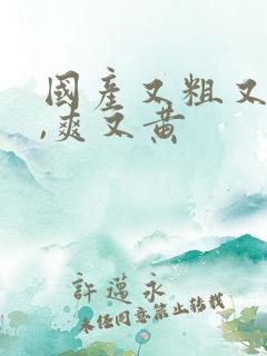 国产又粗又猛又,爽又黄