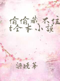 偷偷藏不住txt全本小说