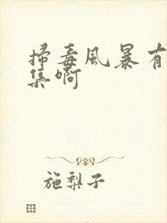 扫毒风暴有多少集啊