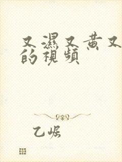 又湿又黄又免费的视频