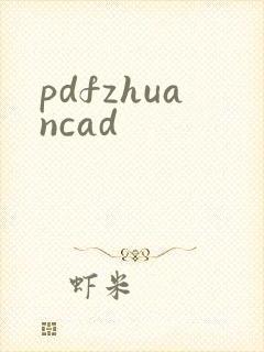 pdfzhuancad