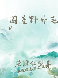 国产野外毛片av