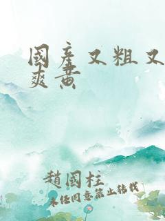 国产又粗又猛又爽黄