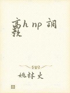 高h np 调教