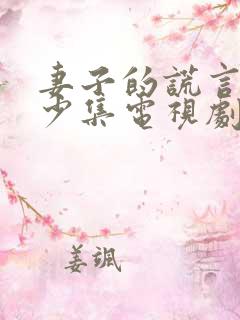 妻子的谎言共多少集电视剧