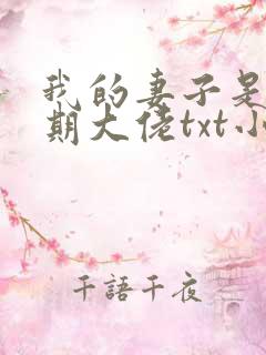 我的妻子是大乘期大佬txt小说
