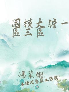 国模大胆一区二区三区