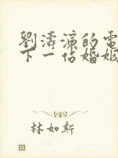 刘涛演的电视剧下一站婚姻