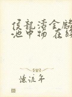 侯龙涛金麟岂是池中物 在线阅读