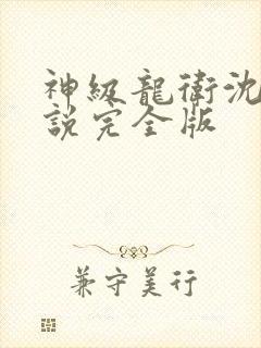 神级龙卫沈浪小说完全版