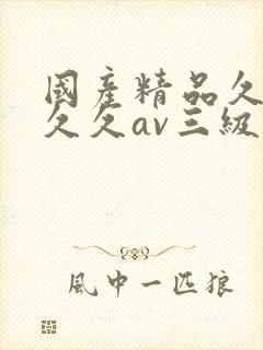 国产精品久久久久久av三级