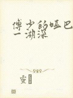 傅少的哑巴新妻一湖深