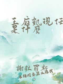 王庭凯现任职务是什么