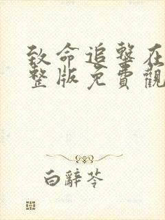 致命追击在线完整版免费观看