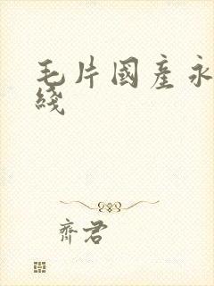 毛片国产永久在线