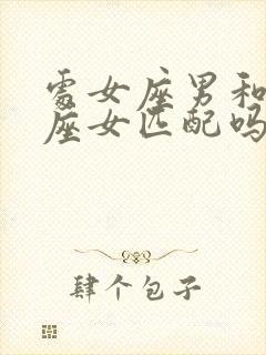 处女座男和射手座女匹配吗