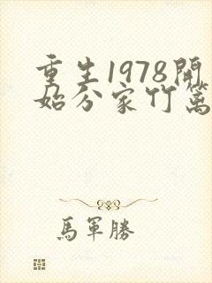 重生1978开始分家竹篱的小说