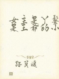 女主是丫鬟男主是王爷的小说