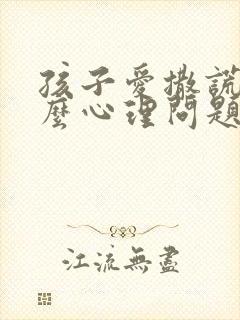 孩子爱撒谎是什么心理问题