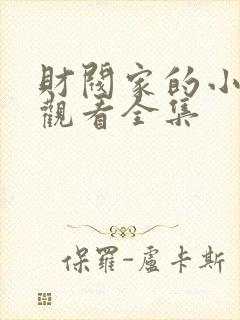 财阀家的小儿子观看全集