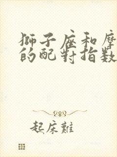 狮子座和摩羯座的配对指数