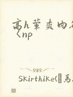 高h荤爽肉欲文〈np