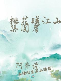 桃花映江山第几集圆房