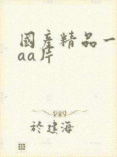 国产精品一级aaa片