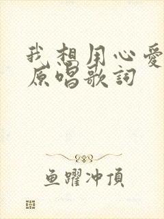 我想用心爱着你原唱歌词
