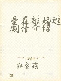 爱在离婚进行时剧情介绍