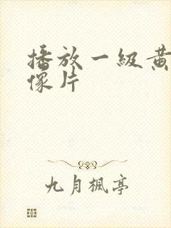 播放一级黄色录像片