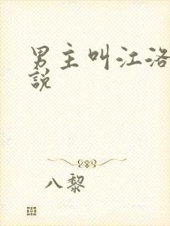 男主叫江洛的小说