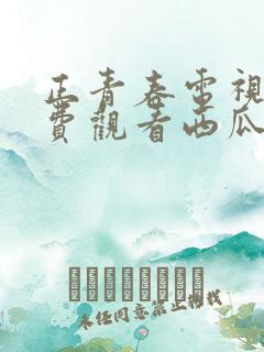 正青春电视剧免费观看西瓜