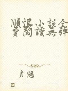 顺恨小说全文免费阅读无弹窗