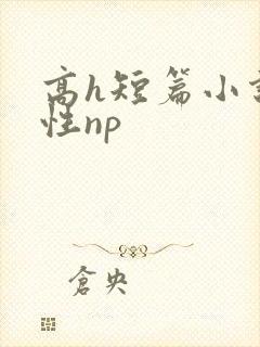 高h短篇小说双性np