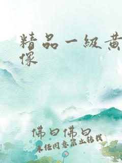 精品一级黄色录像