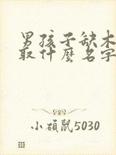 男孩子缺木缺火取什么名字